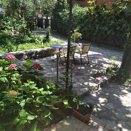 Apartmani Abeona Budva Exteriör bild