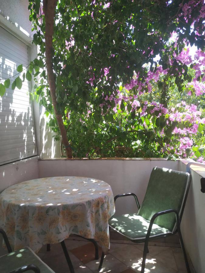 Apartmani Abeona Budva Exteriör bild